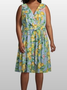 R&K Sky-Blue Lemon & Floral Midi Dress